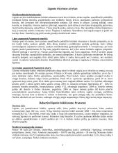 Ligos istorija 4 puslapis