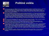 Įdomūs faktai apie Adolfą Hitlerį 3 puslapis