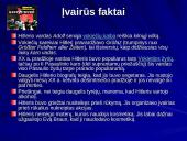 Įdomūs faktai apie Adolfą Hitlerį 5 puslapis