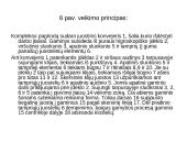 Agregatinės linijos 13 puslapis