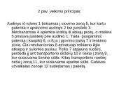 Agregatinės linijos 5 puslapis