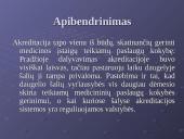 Akreditacija ir kokybės reguliavimas sveikatos priežiūros sistemoje 14 puslapis