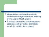 Aplinkos strateginė analizė 16 puslapis
