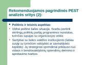 Aplinkos strateginė analizė 18 puslapis