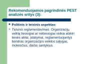 Aplinkos strateginė analizė 19 puslapis