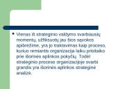 Aplinkos strateginė analizė 4 puslapis