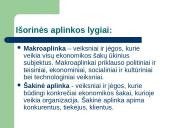 Aplinkos strateginė analizė 6 puslapis