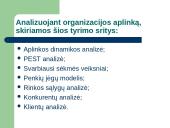 Aplinkos strateginė analizė 7 puslapis