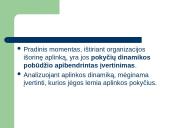 Aplinkos strateginė analizė 8 puslapis