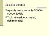 Atmintis – tai sugebėjimas įsiminti, laikyti atgaminti informaciją 14 puslapis