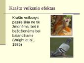 Atmintis – tai sugebėjimas įsiminti, laikyti atgaminti informaciją 8 puslapis