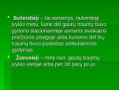 Autoavarijos 3 puslapis