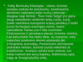 Autoavarijos 8 puslapis