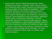 Autoavarijos 9 puslapis