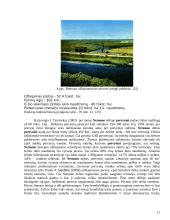 Baltijos jūros lagūnų fizinė-geografinė apybraiža 11 puslapis