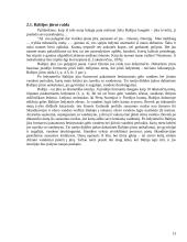 Baltijos jūros lagūnų fizinė-geografinė apybraiža 13 puslapis