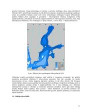 Baltijos jūros lagūnų fizinė-geografinė apybraiža 17 puslapis