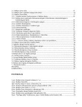Baltijos jūros lagūnų fizinė-geografinė apybraiža 3 puslapis