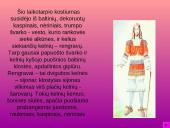 Baroko atspindys drabužių dizaine 10 puslapis