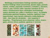 Baroko atspindys drabužių dizaine 4 puslapis