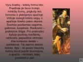 Baroko atspindys drabužių dizaine 8 puslapis