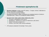 Bibliografinė veikla Danijoje 13 puslapis