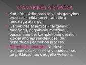 Gamybinės atsargos. Materialinių išteklių taupymas 2 puslapis