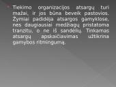 Gamybinės atsargos. Materialinių išteklių taupymas 3 puslapis