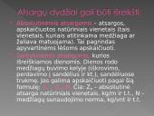 Gamybinės atsargos. Materialinių išteklių taupymas 4 puslapis