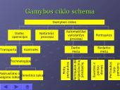 Gamybos proceso organizavimas laike 11 puslapis