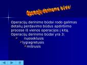 Gamybos proceso organizavimas laike 12 puslapis