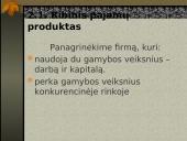 Gamybos veiksnių rinkos ir jų ypatybės 12 puslapis