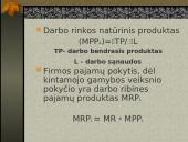 Gamybos veiksnių rinkos ir jų ypatybės 13 puslapis