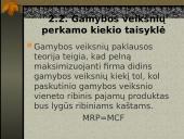 Gamybos veiksnių rinkos ir jų ypatybės 17 puslapis