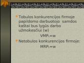 Gamybos veiksnių rinkos ir jų ypatybės 18 puslapis