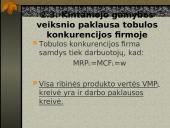 Gamybos veiksnių rinkos ir jų ypatybės 19 puslapis