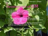 Genes modification 4 puslapis