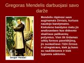 Genetikos mokslas ir raida 3 puslapis