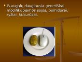 Genetiškai modifikuoti produktai 3 puslapis