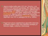 Japonų raštas 2 puslapis