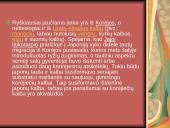 Japonų raštas 6 puslapis