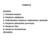 Karjeros principai viešosiose organizacijose 2 puslapis