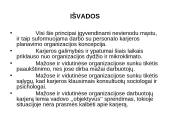 Karjeros principai viešosiose organizacijose 11 puslapis