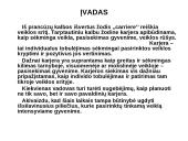 Karjeros principai viešosiose organizacijose 3 puslapis