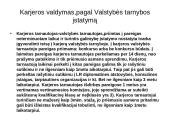 Karjeros principai viešosiose organizacijose 6 puslapis