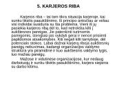 Karjeros principai viešosiose organizacijose 9 puslapis