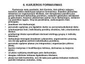 Karjeros principai viešosiose organizacijose 10 puslapis