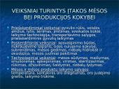 Kiauliena 12 puslapis