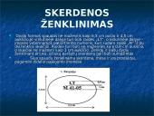 Kiauliena 13 puslapis