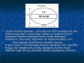 Kiauliena 15 puslapis